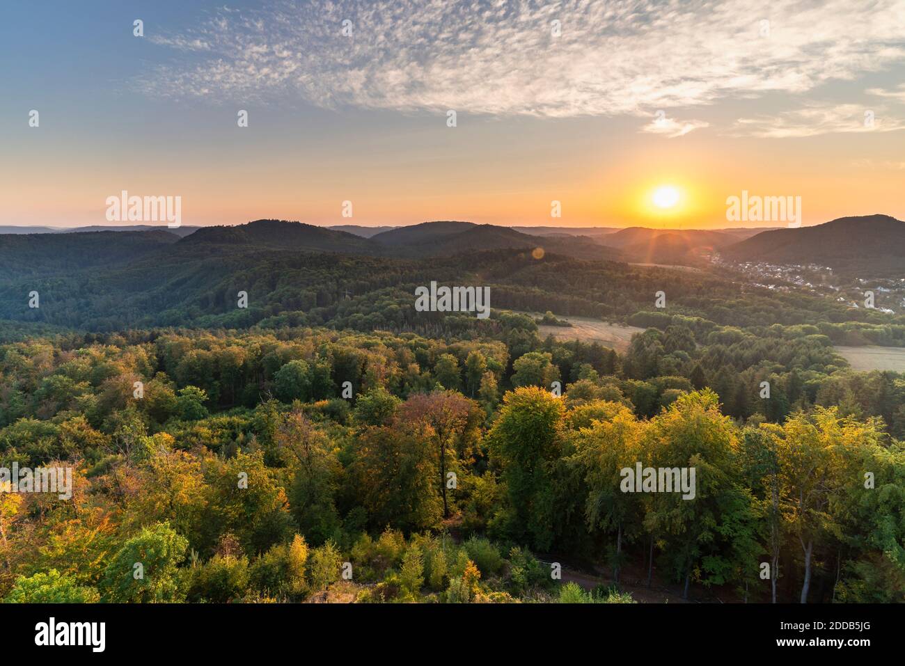 Coucher de soleil sur le paysage forestier de la gamme de forêts du Palatinat Banque D'Images