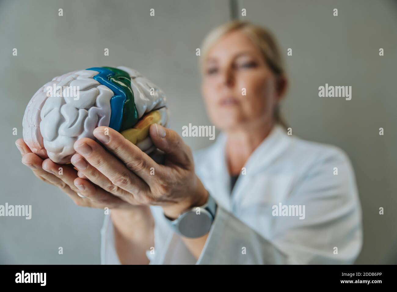 Scientifique tenant le cerveau humain artificiel en se tenant debout à la clinique Banque D'Images