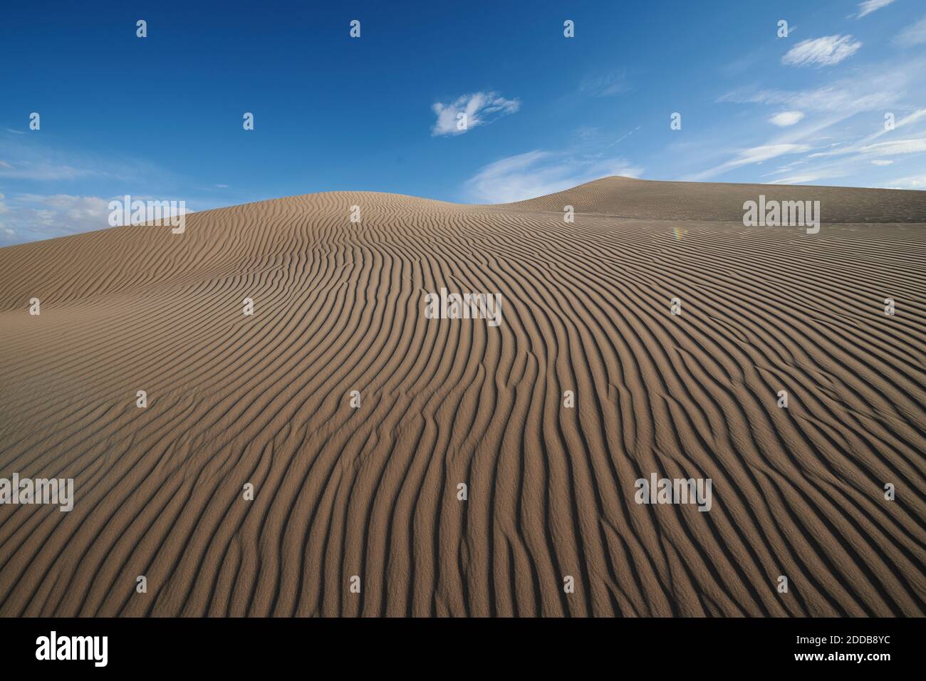 Vagues naturelles sur les dunes de Cadix au désert de Mojave, Californie du Sud, États-Unis Banque D'Images