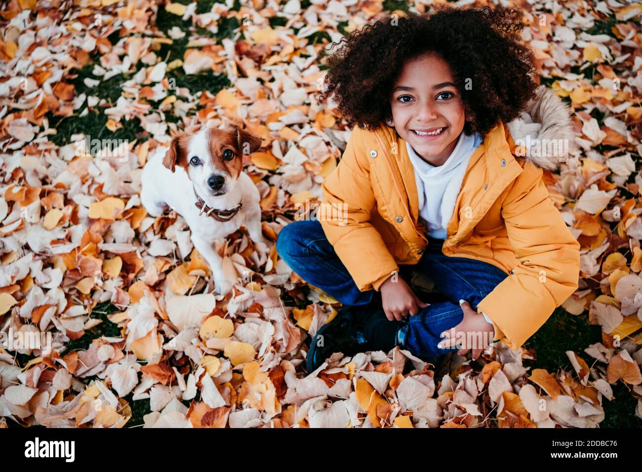 Fille souriante assise avec un chien sur une feuille tombée au parc Banque D'Images