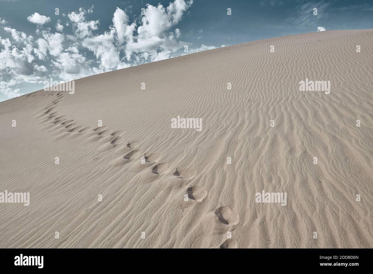 Empreinte sur le sable des dunes de Cadix au désert de Mojave, Californie du Sud, États-Unis Banque D'Images