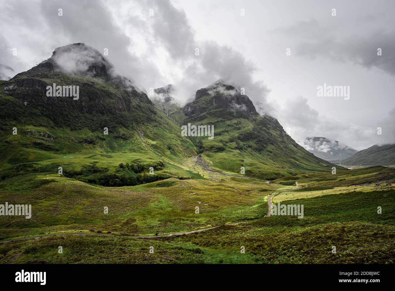 Paysage vert de Glen COE Banque D'Images