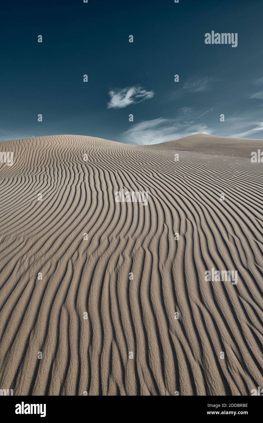 Cadix Dunes contre un ciel clair au désert de Mojave, Californie du Sud, États-Unis Banque D'Images