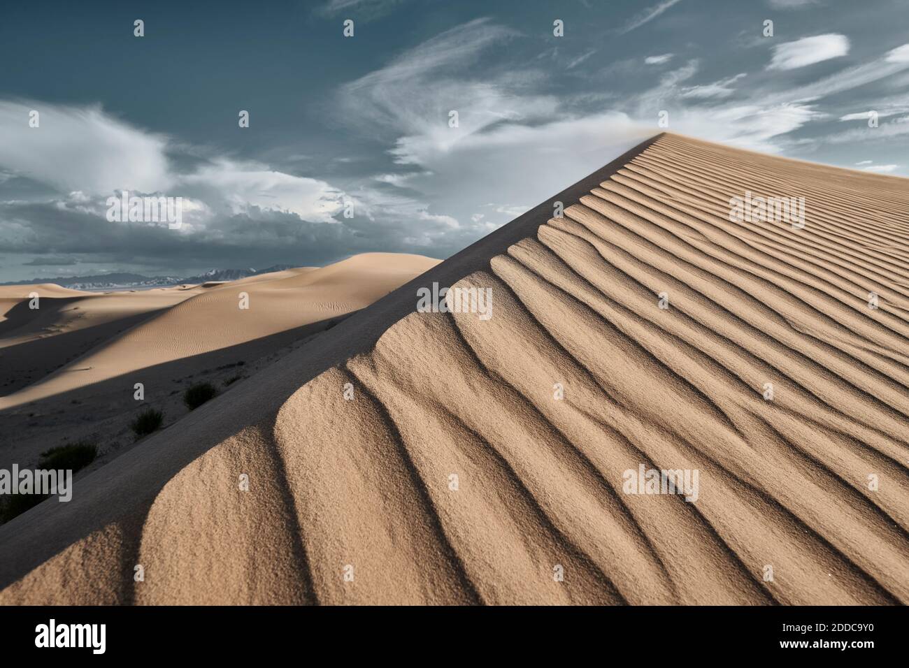 Vue sur les dunes de Cadix au désert de Mojave, Californie du Sud, États-Unis Banque D'Images