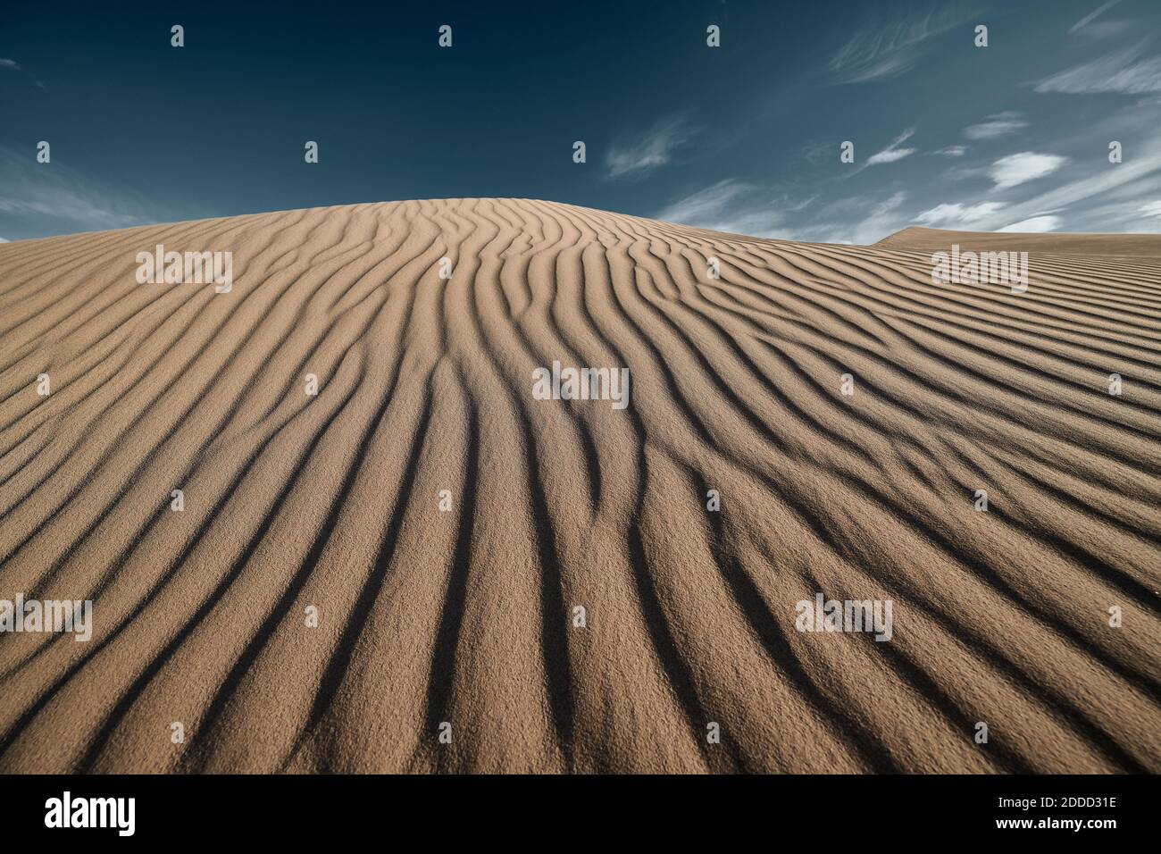 Modèle de vague sur les dunes de Cadix au désert de Mojave, Californie du Sud, États-Unis Banque D'Images