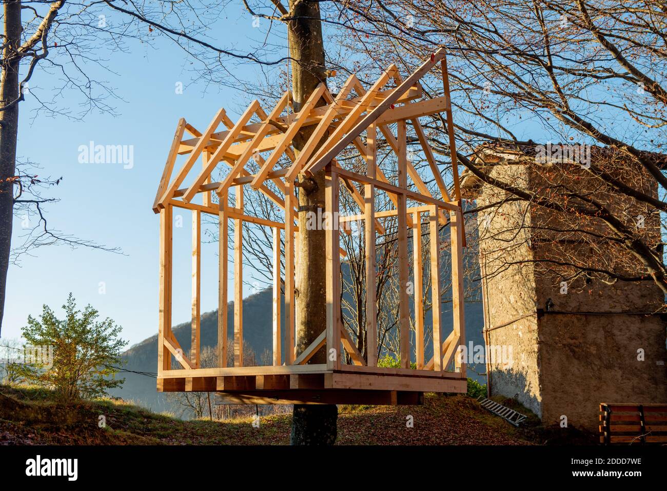 construction d'une maison dans un arbre Banque D'Images