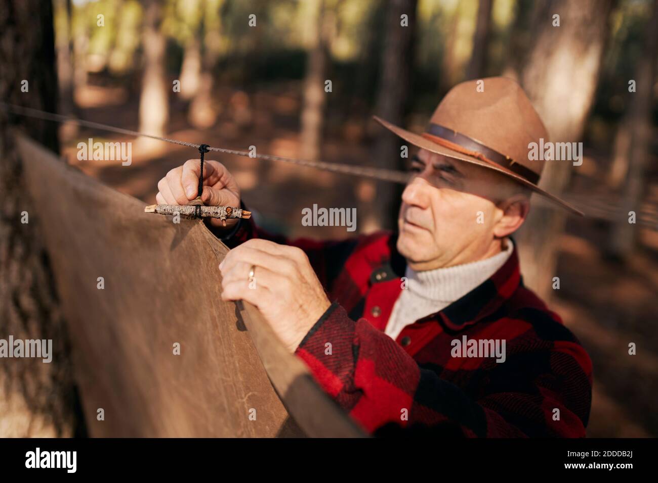 Tente de camping en forêt pour pitching de Bushrufter Banque D'Images