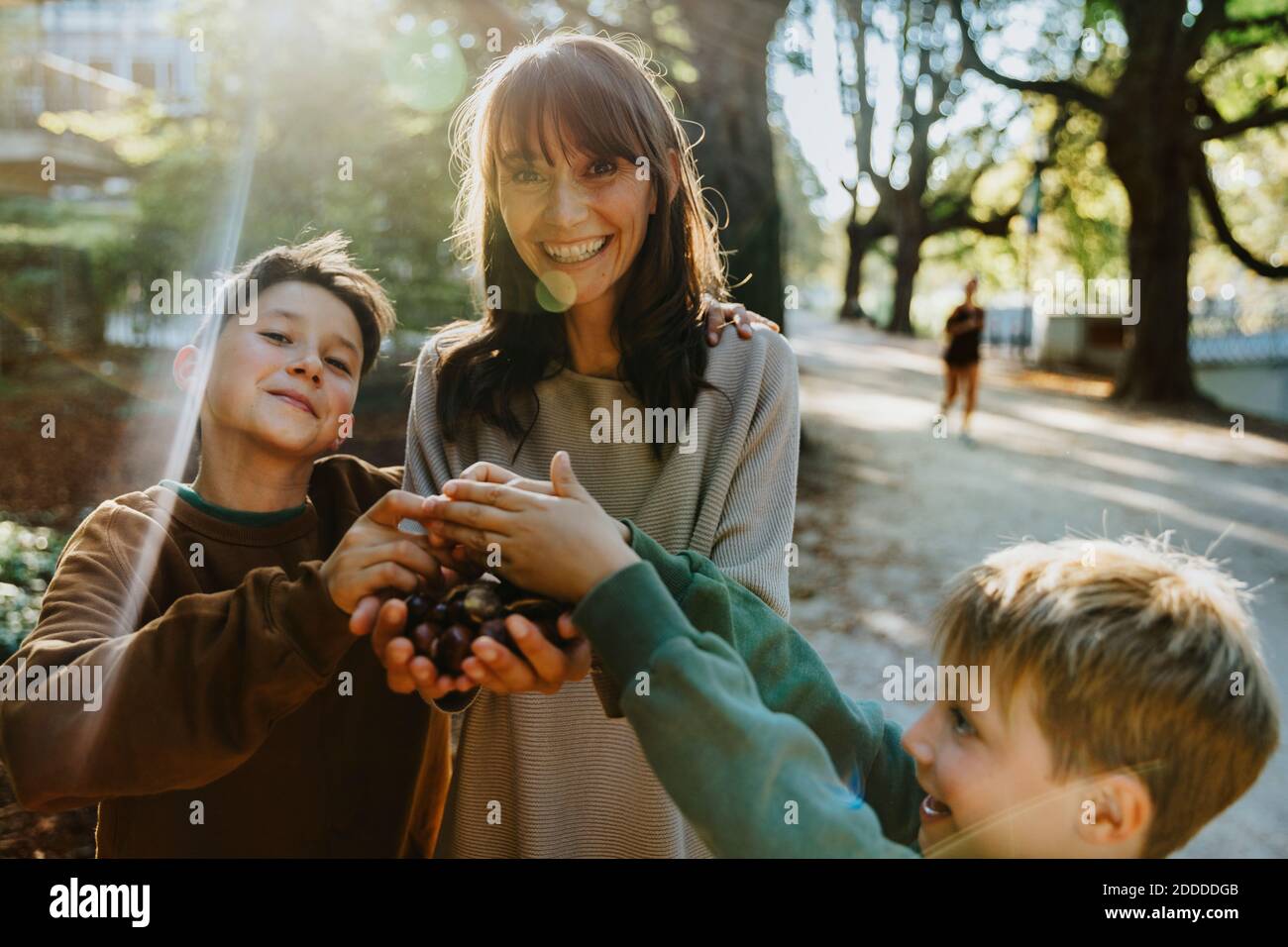 Une mère et des fils souriants collectent des châtaignes tout en restant en public stationnement Banque D'Images