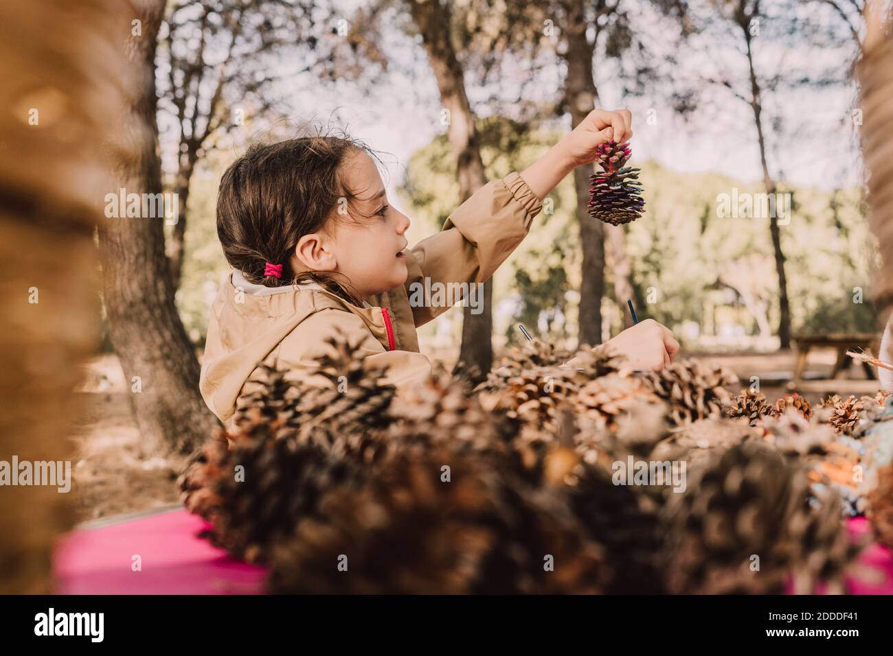 Jolie fille regardant le cône de pin dans le parc Banque D'Images