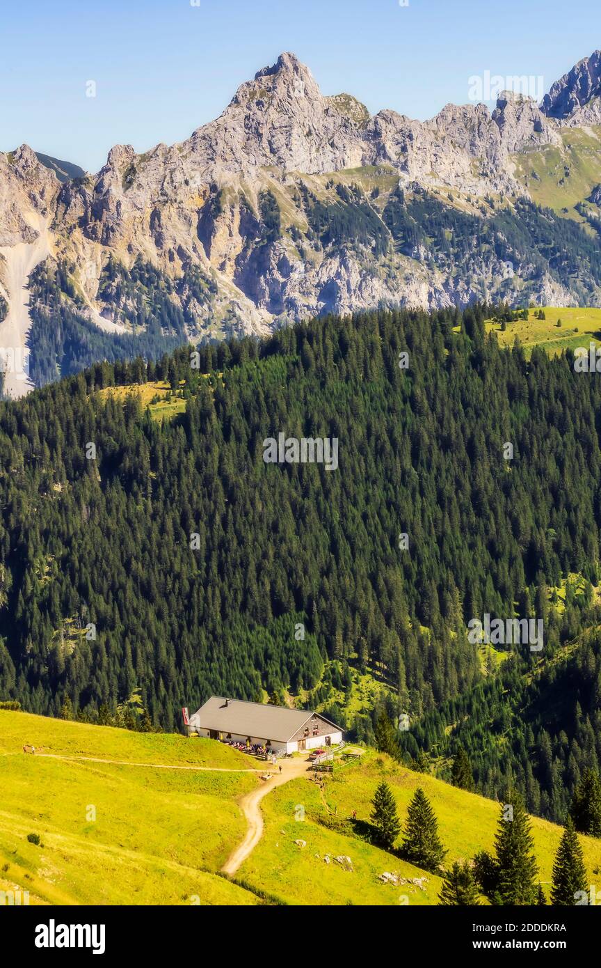 Vue panoramique sur la forêt de Tannheimer Tal Valley Banque D'Images