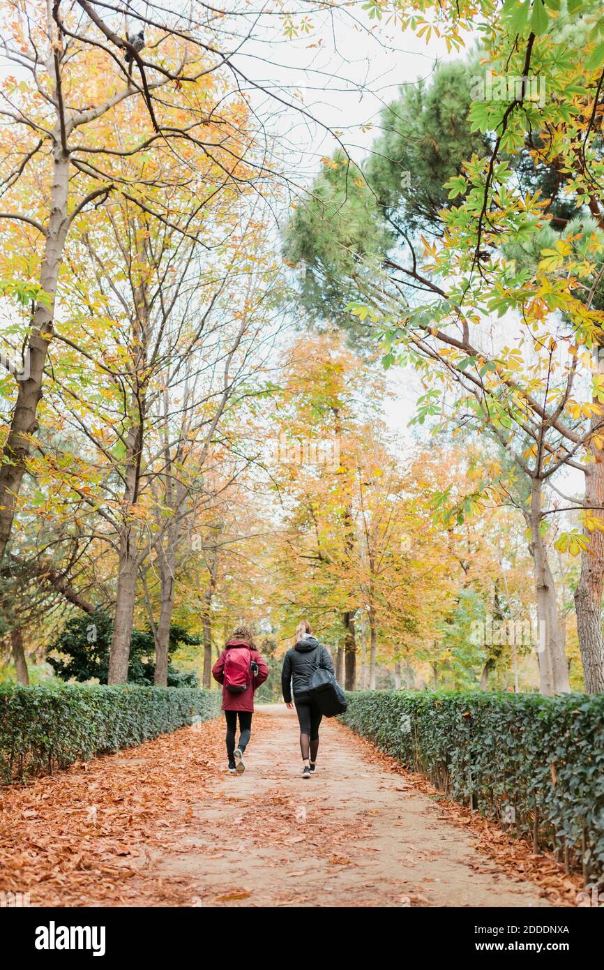 Les femmes adultes de taille moyenne marchent ensemble sur le sentier parmi les plantes et arbres au parc en automne Banque D'Images