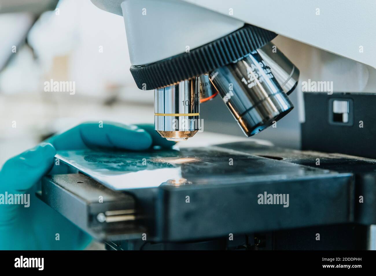 Gros plan de la main de femme en plaçant la lame de microscope du cerveau humain sous microscope en laboratoire Banque D'Images