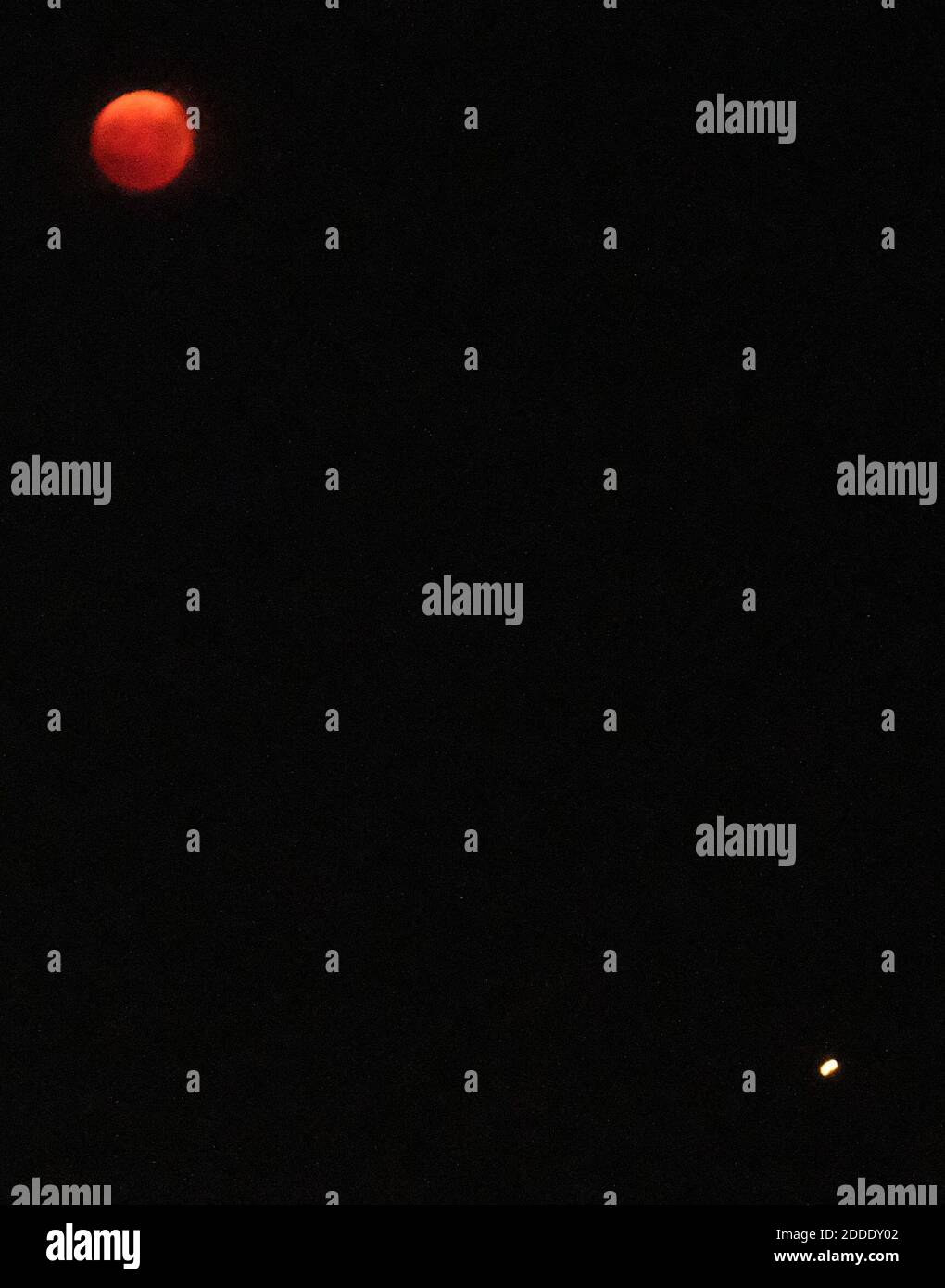 L'éclipse lunaire totale la plus longue du XXIe siècle a lieu ce vendredi 27 juillet. La phase totale de l'éclipse de la lune de sang de juillet 27 dure 1 heure et 43 minutes, au cours de laquelle le satellite naturel de la Terre devient rouge ou brun pâle. Du début à la fin, tout l'événement céleste a duré près de 4 heures. Photo par JMP/ABACAPRESS.COM Banque D'Images