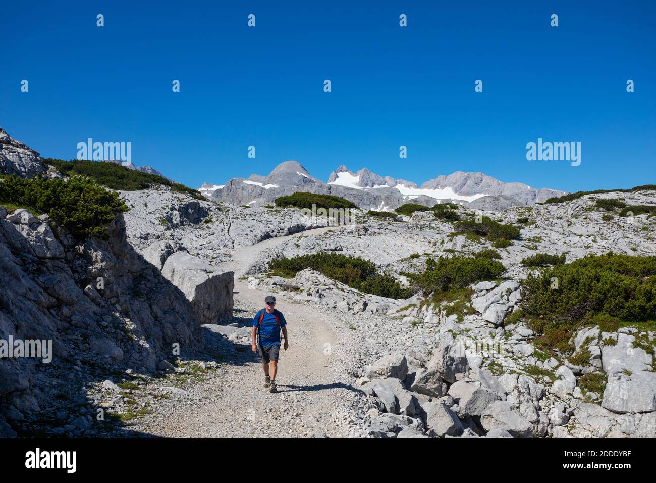 Homme senior randonnée à Hoher Dachstein pendant l'été Banque D'Images