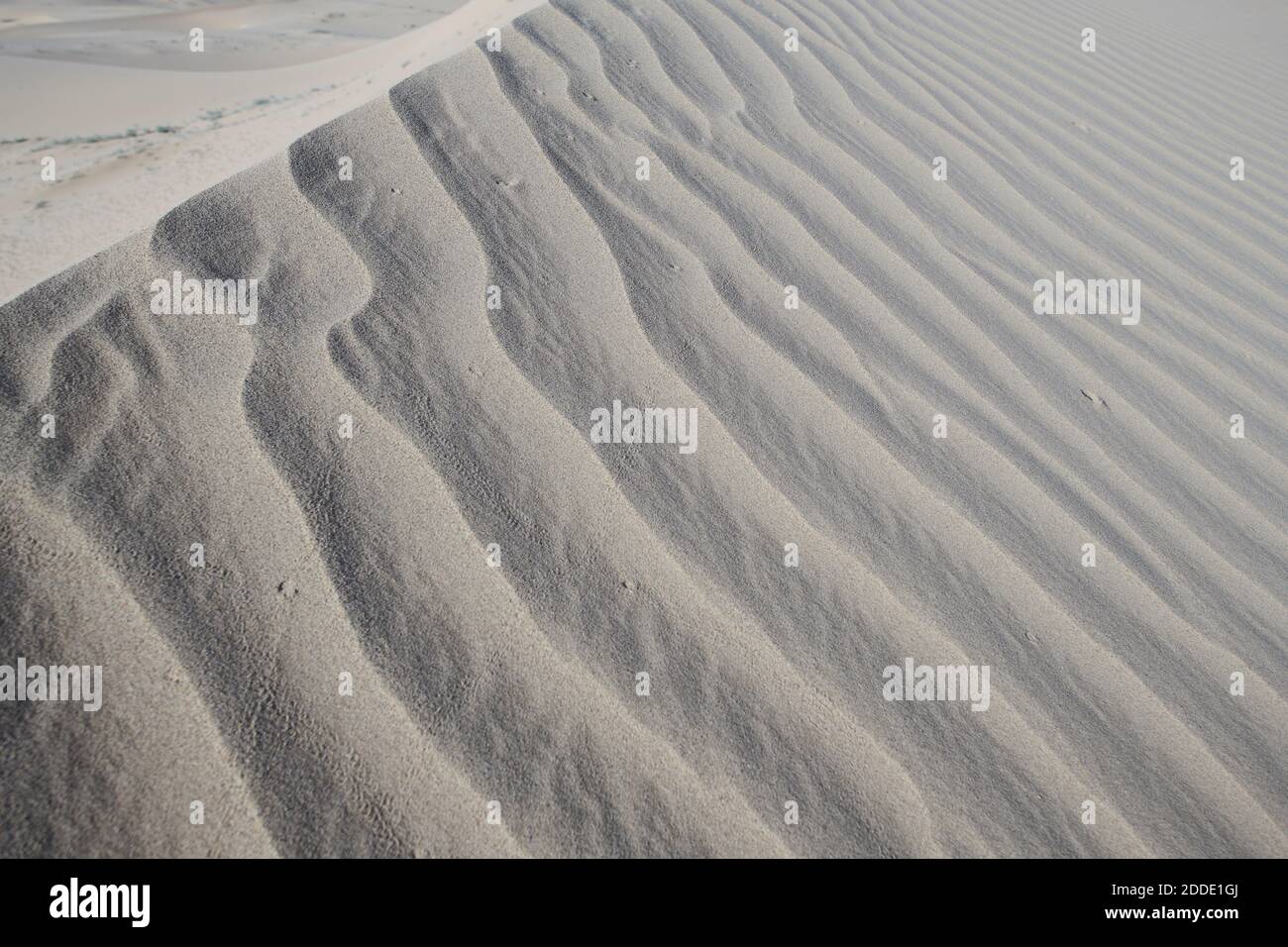 Tracé des vagues sur le sable blanc des dunes de Cadix au désert de Mojave, Californie du Sud, États-Unis Banque D'Images