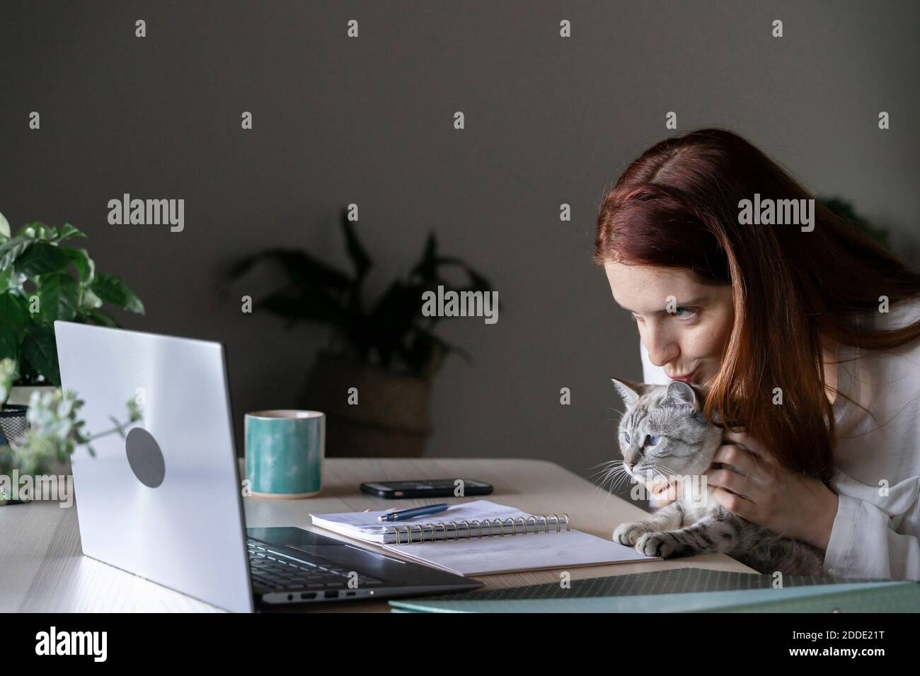 Une jeune femme embrasse un chat tout en travaillant sur un ordinateur portable à la maison Banque D'Images