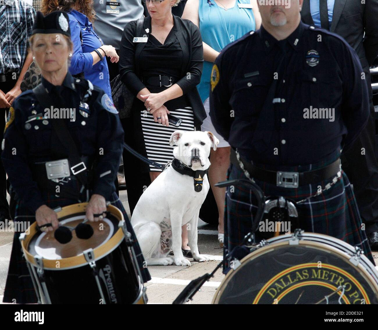 PAS DE FILM, PAS DE VIDÉO, PAS de TV, PAS DE DOCUMENTAIRE - UN chien de police attend avec d'autres officiers, portant son badge au service funéraire de Michael Krol à l'église baptiste de Prestonwood le 15 juillet 2016 à Plano, TX, USA. Photo de Paul Moseley/fort Worth Star-Telegram/TNS/ABACAPRESS.COM Banque D'Images