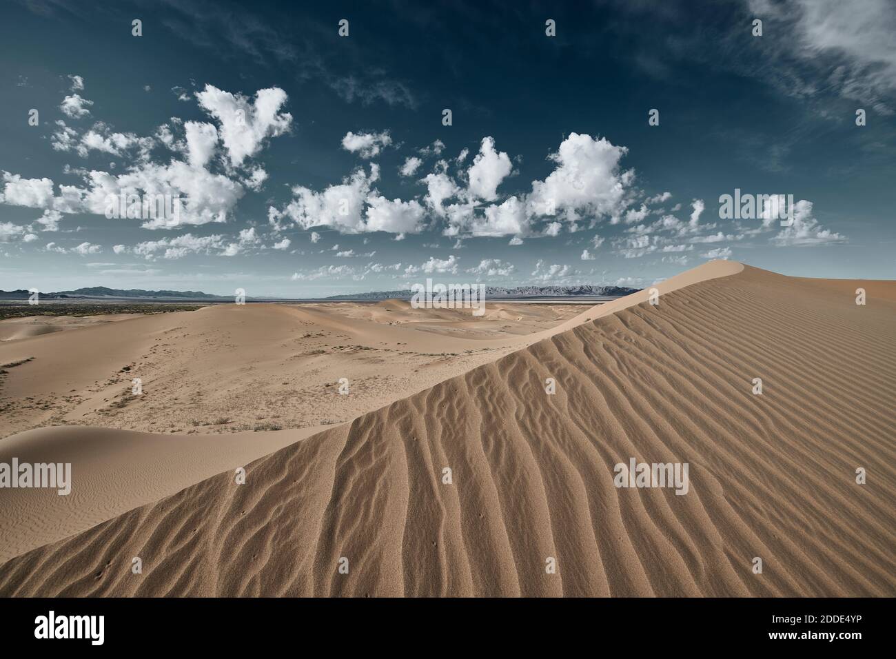 Paysage de Cadix Dunes dans le désert de Mojave, Californie du Sud, États-Unis Banque D'Images