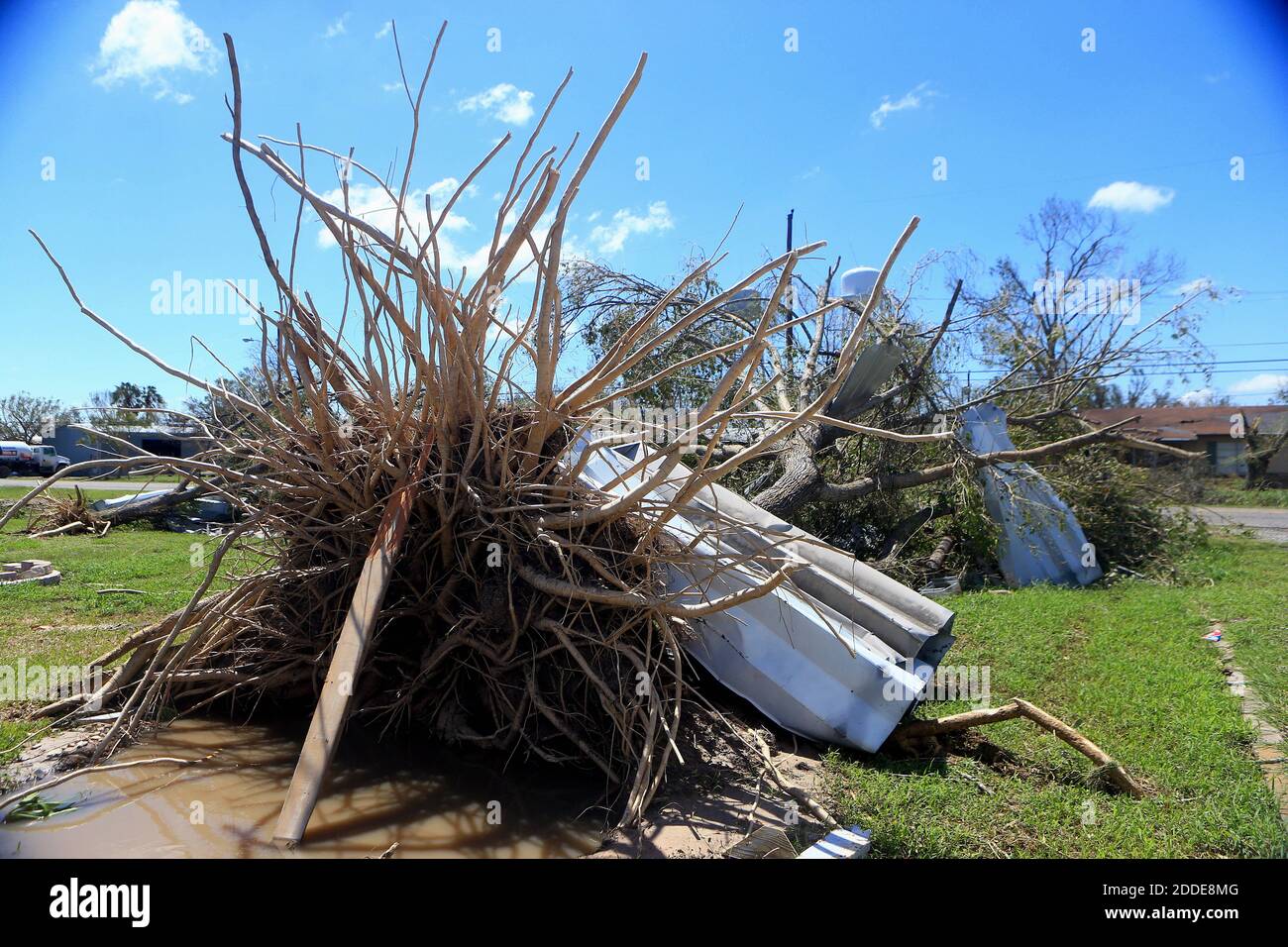 PAS DE FILM, PAS DE VIDÉO, PAS de télévision, PAS DE DOCUMENTAIRE - UN arbre est enraciné après qu'il a été détruit par l'ouragan Harvey, le mardi 29 août 2017, à Woodsboro, Texas, États-Unis. Photo de Gabe Hernandez/Corpus Christi Caller-Times/TNS/ABACAPRESS.COM Banque D'Images