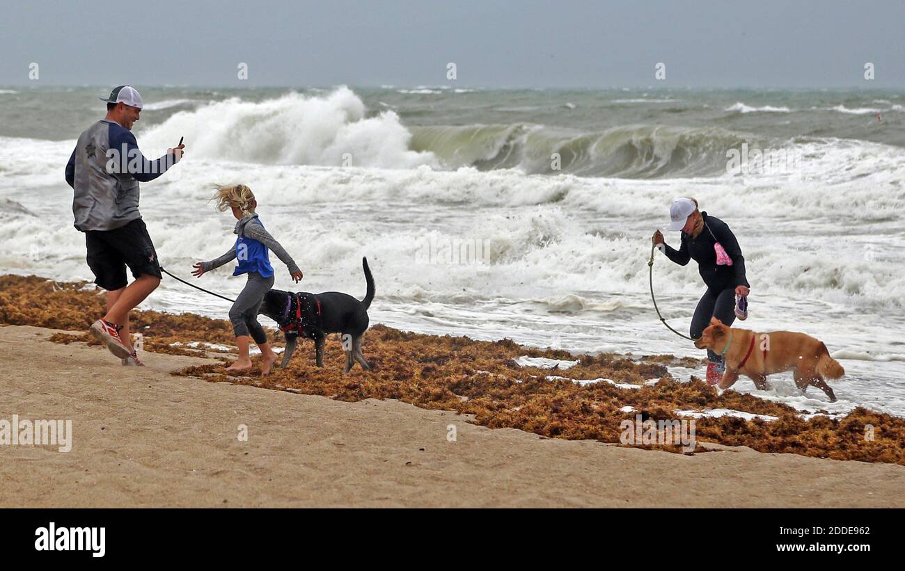 PAS DE FILM, PAS DE VIDÉO, PAS de TV, PAS DE DOCUMENTAIRE - Cameron Scott prend des photos de sa femme, Amanda Scott, à droite, leur fille, Addison Scott, 6, Et leurs chiens, Luna et Foxy Brown, comme une vague les éclabousse sur la plage de fort Lauderdale alors que l'ouragan Irma pousse dans le sud de la Floride le samedi 9 septembre 2017, à fort Lauderdale, FL, États-Unis. Photo par Amy Beth Bennett/Sun Sentinel/TNS/ABACAPRESS.COM Banque D'Images