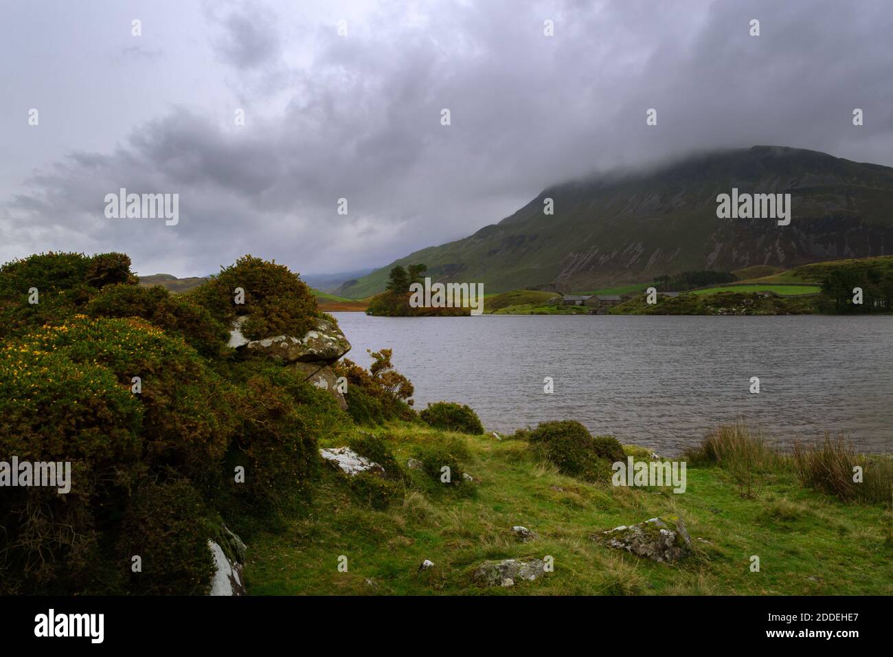 Automne, lac Cregennan à Gwynedd, pays de Galles, avec les collines derrière dans les nuages et quelques bâtiments de ferme en pierre Banque D'Images