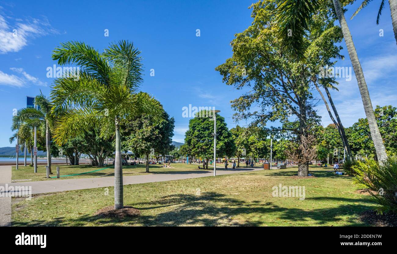 Cairns Esplanade Park sur les rives de Trinity Inlet, dans le nord du Queensland, en Australie Banque D'Images