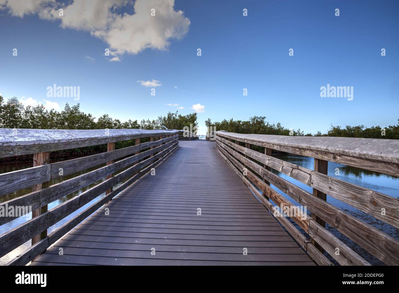 Promenade menant au parc national Lovers Key lors d'une journée ensoleillée à fort Myers, Floride Banque D'Images