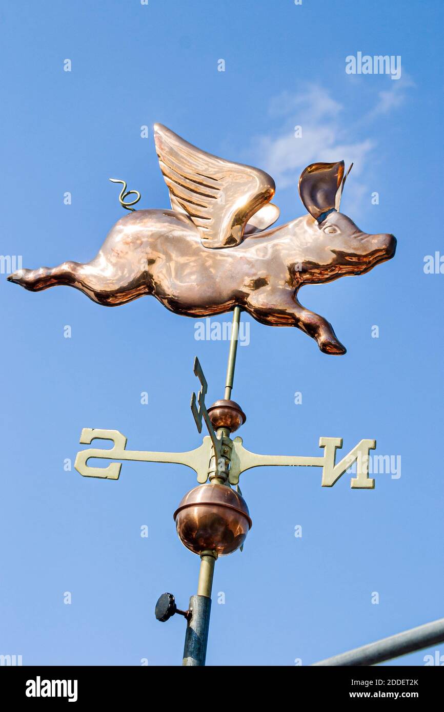 Floride Ft Fort Lauderdale Weathervane Vent Direction Ailes De Porc Volantes Humour Humour Humour Humoristique Photo Stock Alamy