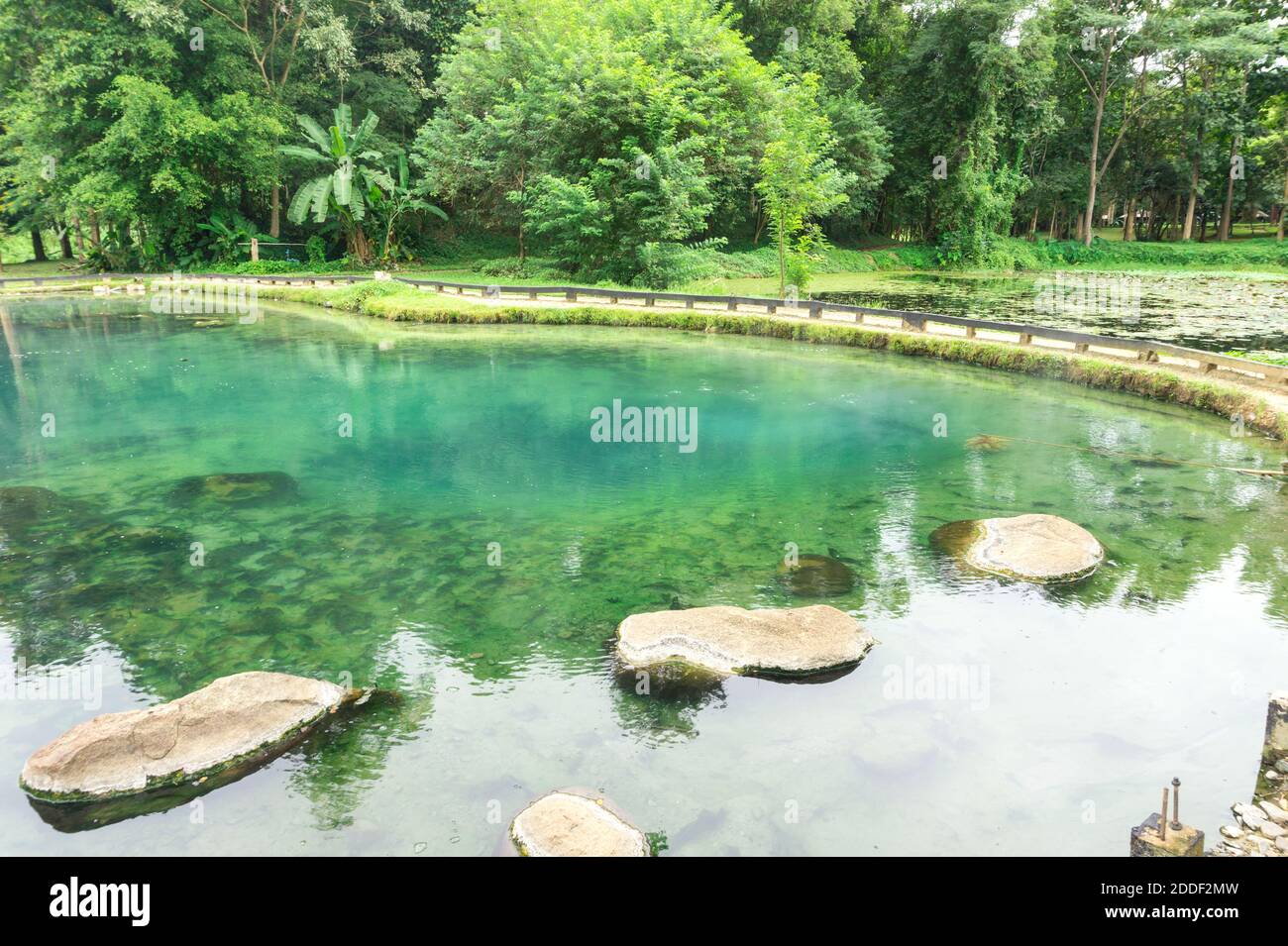 Source chaude naturelle paisible dans la forêt à Huay Mak Liam Source chaude, Chiang Rai Thaïlande Banque D'Images