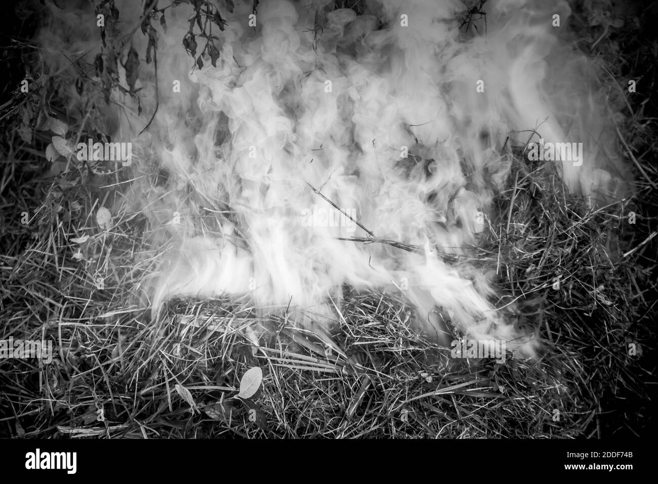 Fumée de feu dans la campagne Banque D'Images