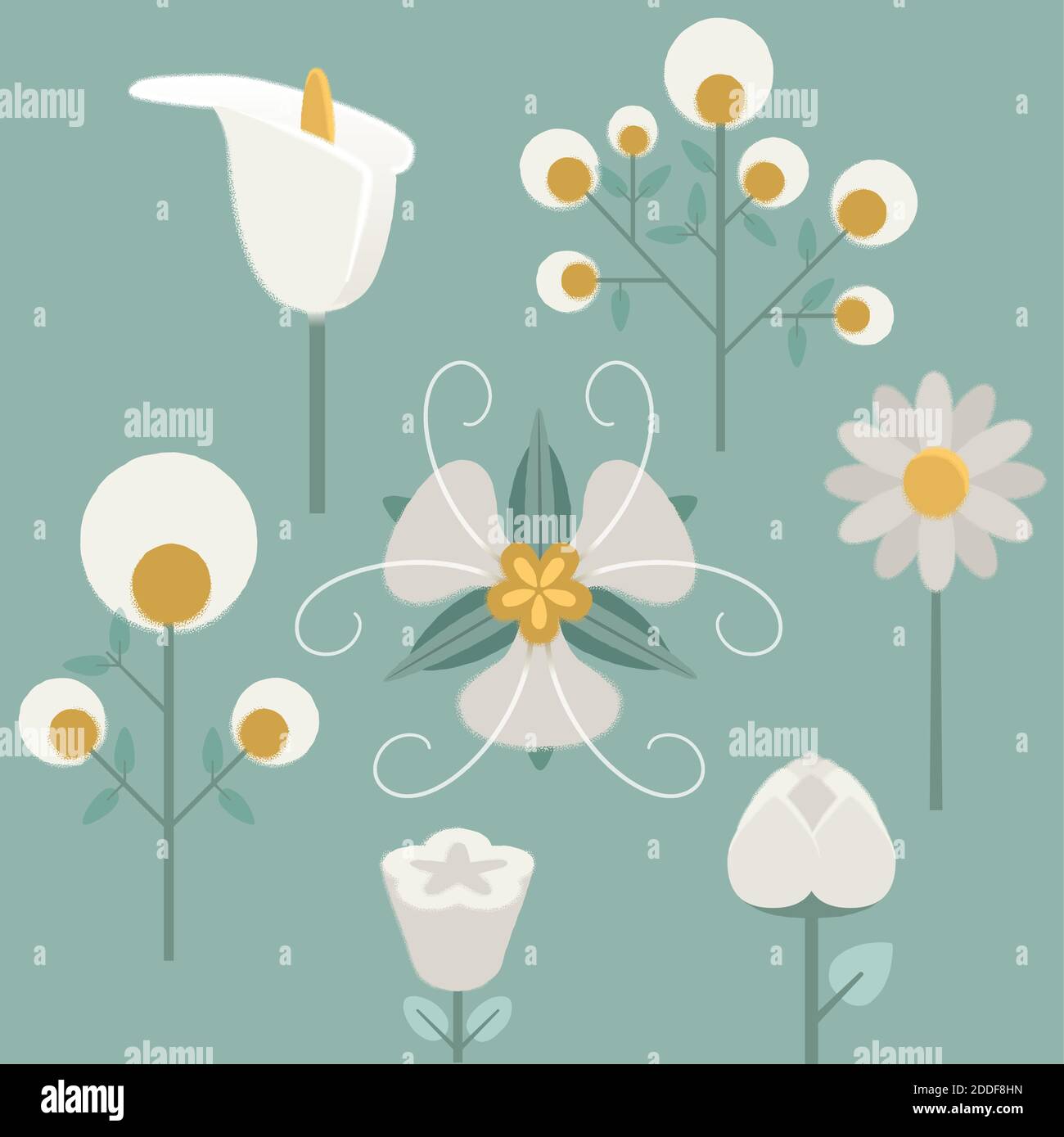 Ensemble de fleurs dessinées avec grain et texture de bruit. Illustration de Vecteur