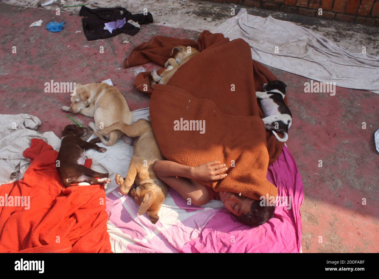 Les enfants et les chiens de la rue dorment sur le trottoir ensemble. Photo prise de Sylhet au Bangladesh. Banque D'Images