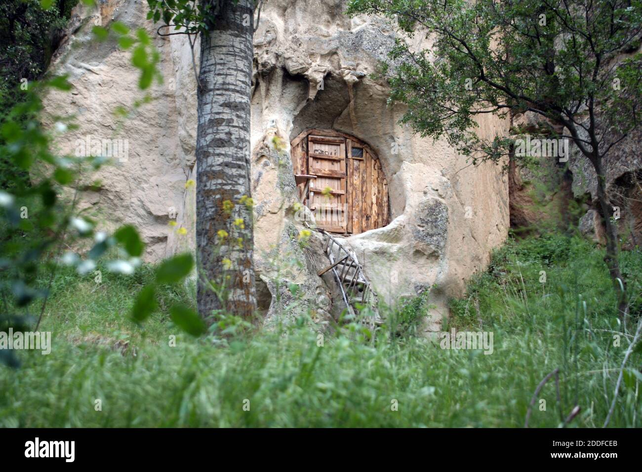 Ancienne grotte cachée dans la forêt. Porte en bois sur une grotte avec des escaliers en bois. Lieu d'isolement naturel abandonné. Banque D'Images