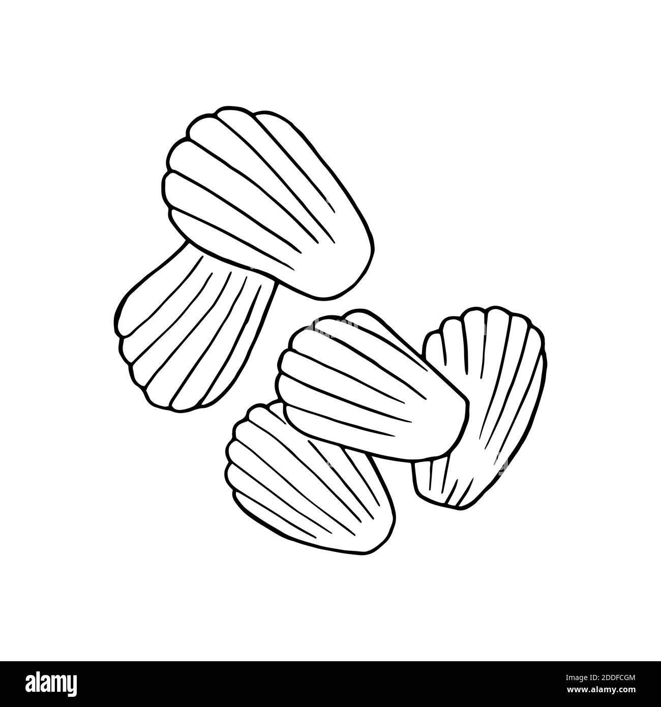 Madeleine vectorisée à la main. Dessert de cuisine française. Design sketch élément pour menu café, bistrot, restaurant, boulangerie, étiquette et emballage. Rapport d'éclairage Illustration de Vecteur