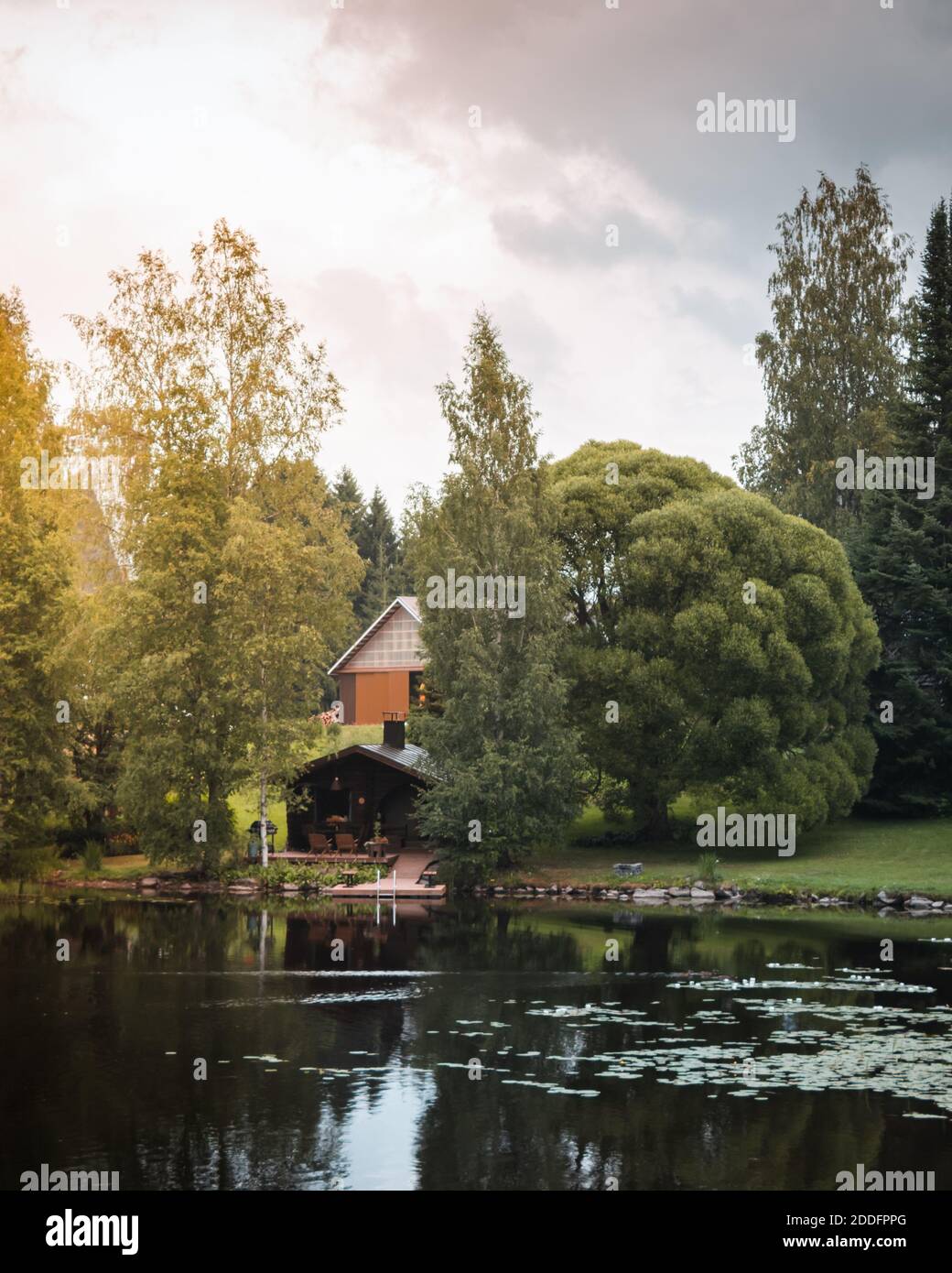 Un chalet paisible dans les bois finlandais avec la lumière du soleil Banque D'Images