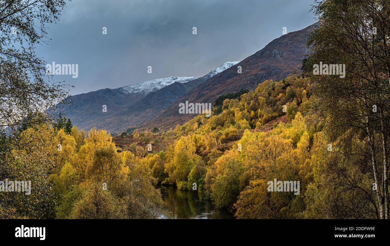 Les couleurs d'automne à Glen Affric dans les Highlands écossais avec les premiers neige sur les collines Banque D'Images