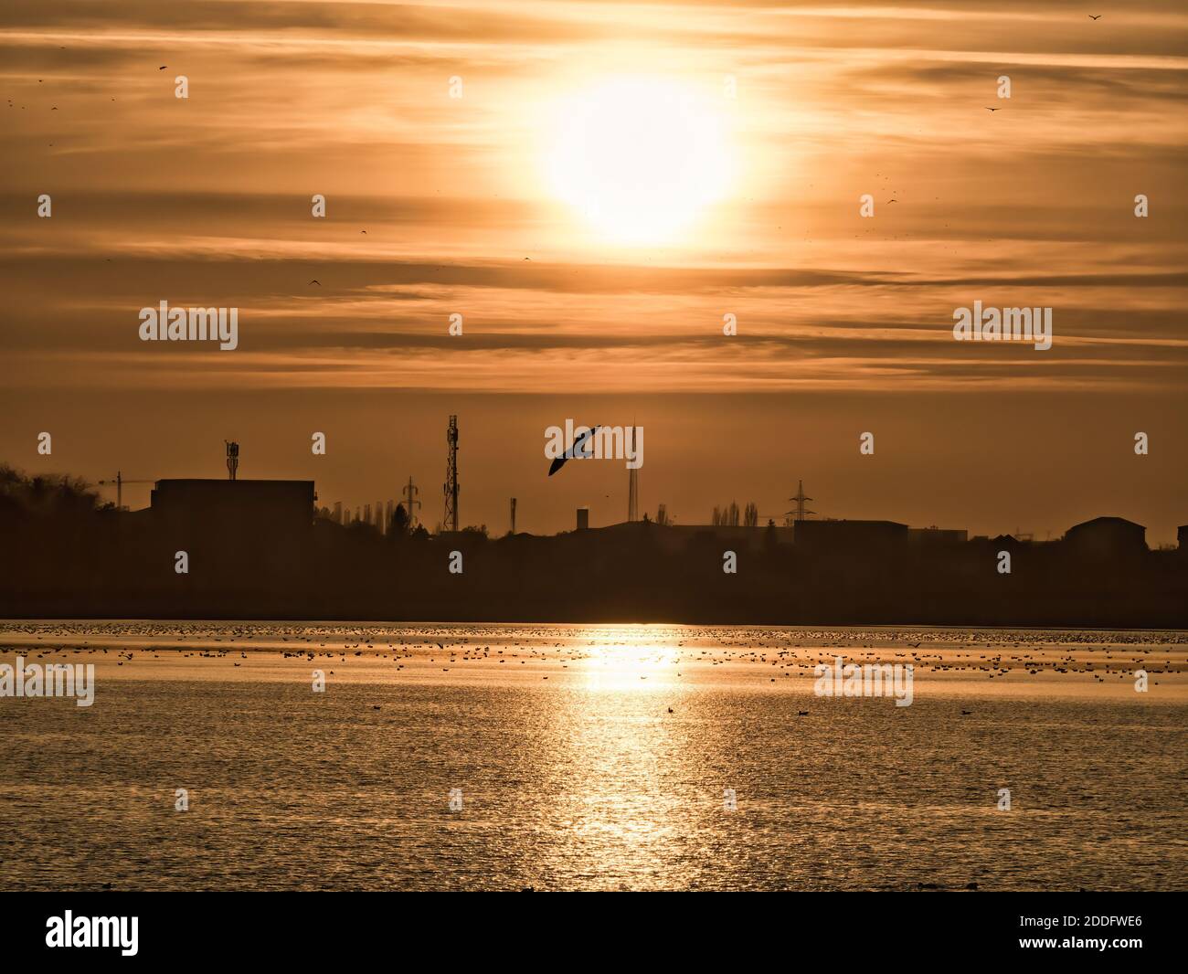 Magnifique coucher de soleil sur le lac Dâmbovița (Lacul Morii) à Bucarest, Roumanie. Banque D'Images