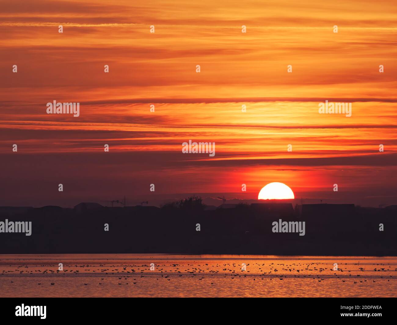 Magnifique coucher de soleil sur le lac Dâmbovița (Lacul Morii) à Bucarest, Roumanie. Banque D'Images