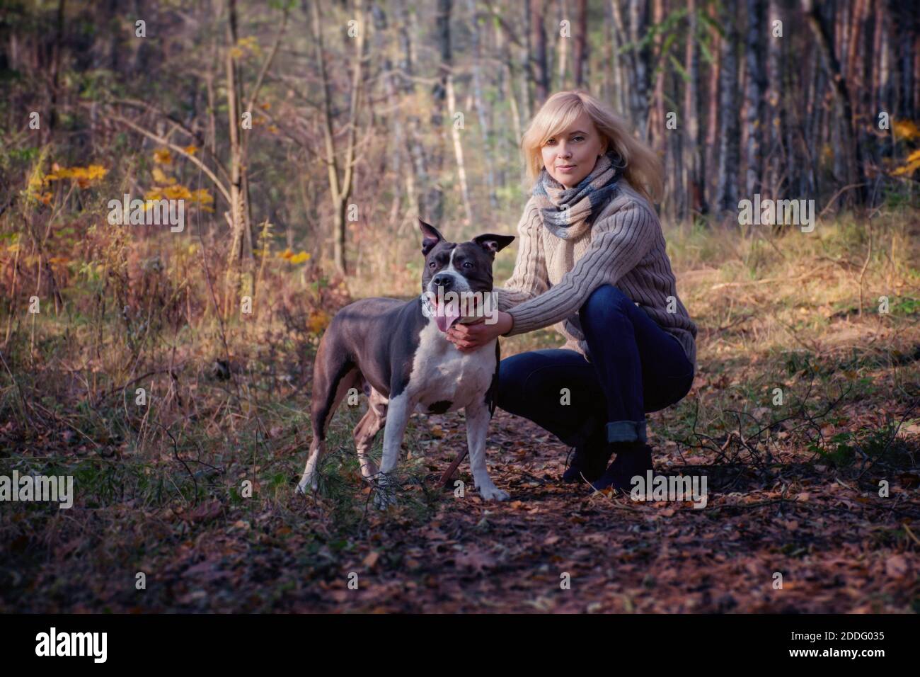 Une femme blonde marche avec un chien dans le forêt Banque D'Images