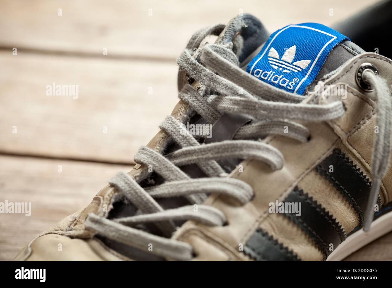 image de chaussure adidas
