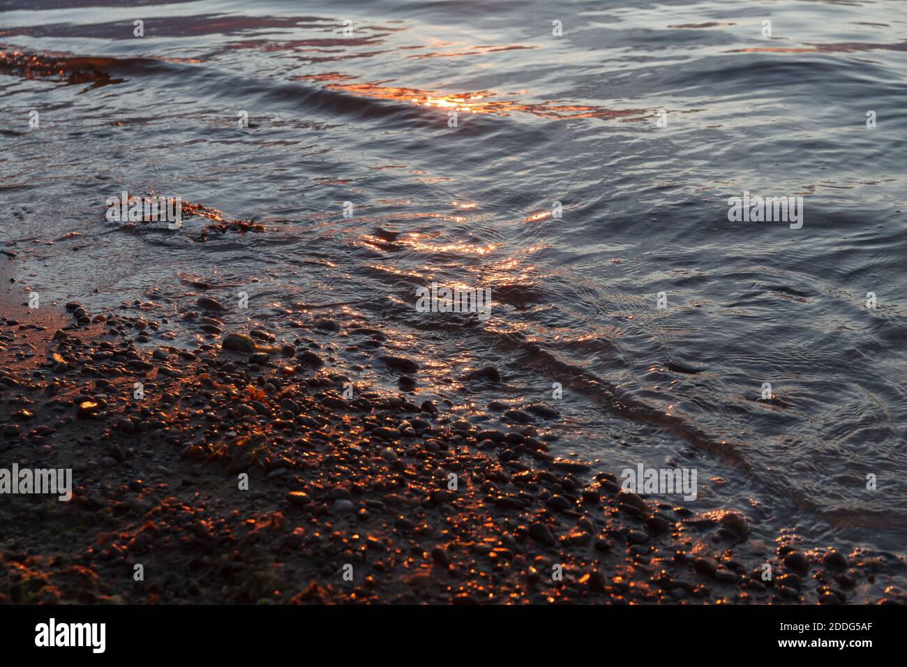 Plage de galets en gros plan avec mer de surf dans une lumière de coucher de soleil. Pierres de différentes tailles sur le fond de la mer au coucher du soleil. Banque D'Images