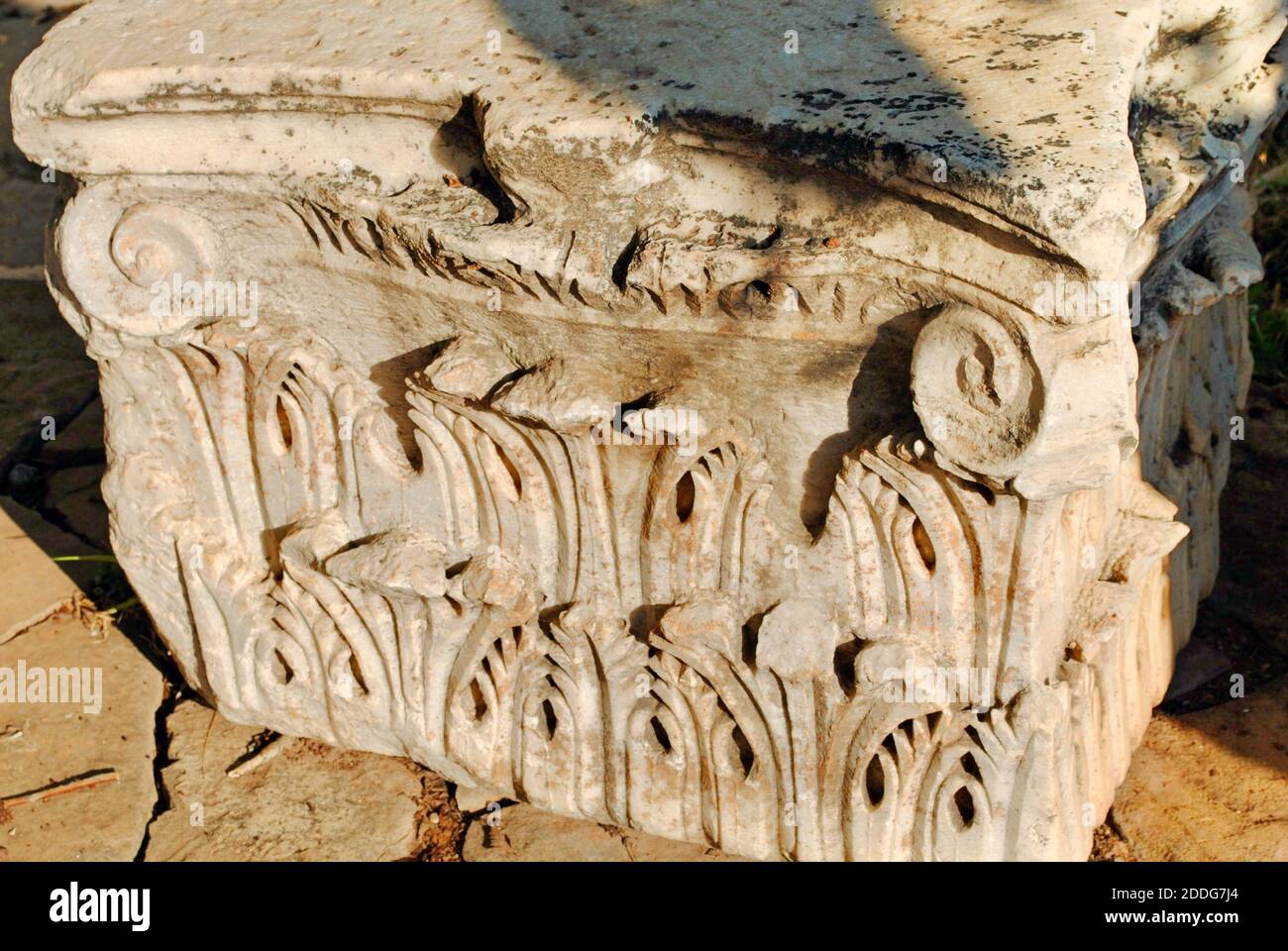 Gros plan d'une colonne de marbre Corinthien capitale à la ruine ancienne ville de Perge, près d'Antaliya, Turquie. Banque D'Images