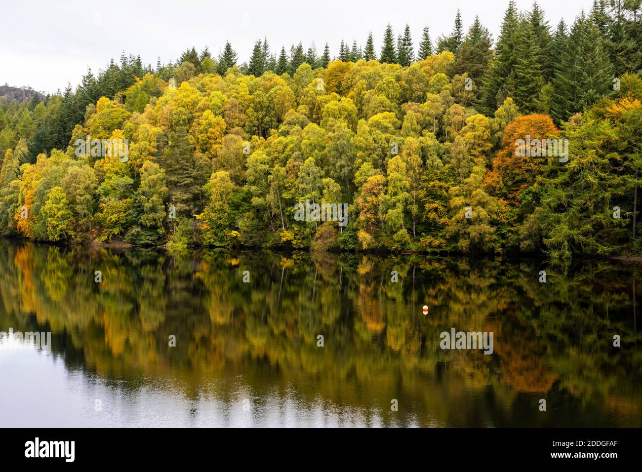 Réflexions d'automne sur le Loch Faskally, près de Pitlochry, dans le Perthshire, en Écosse, au Royaume-Uni Banque D'Images