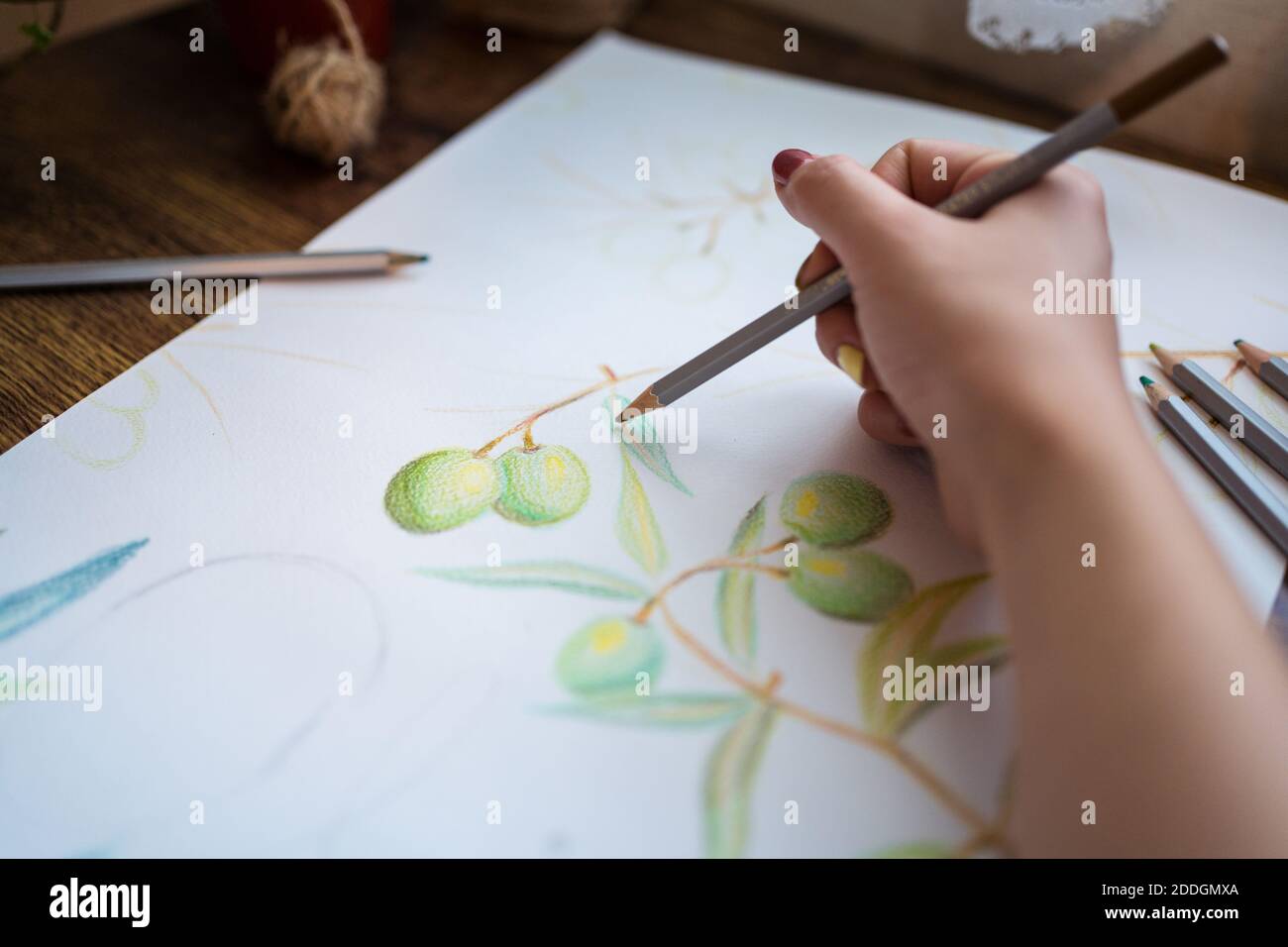 Un artiste peu reconnaissable qui dessine des olives avec des crayons sur une feuille de papier en atelier Banque D'Images