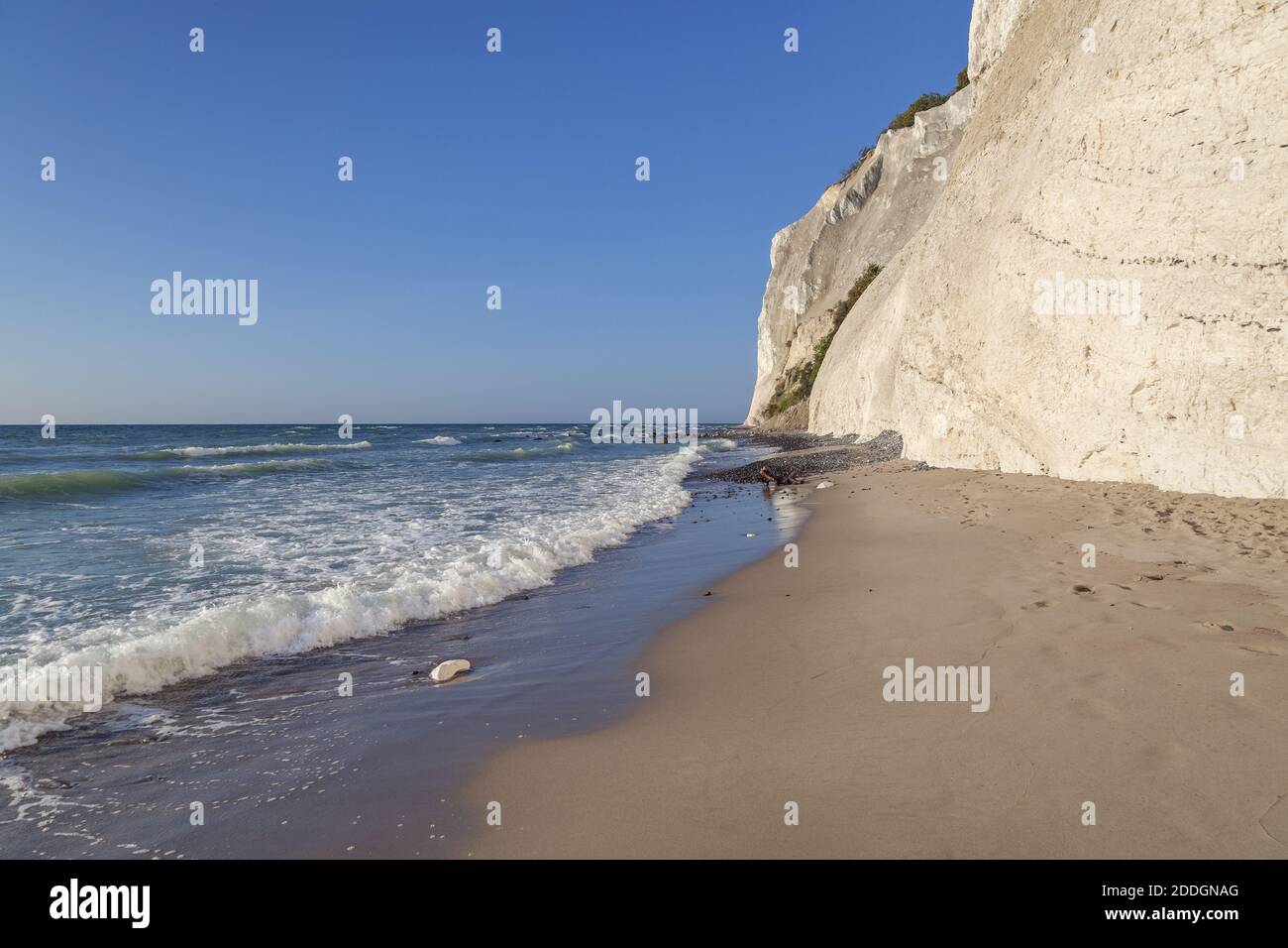 Géographie / Voyage, Danemark, Zélande, isle mon, falaise de craie près des falaises de mon, Mons Klint sur l'île, droits-supplémentaires-autorisation-Info-non-disponible Banque D'Images