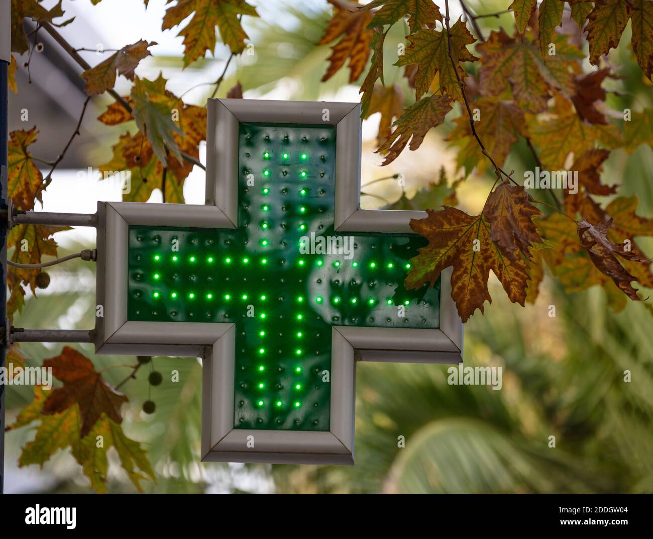 Affiche lumineuse verte de la pharmacie suspendue à l'extérieur de la pharmacie, arrière-plan du feuillage de l'arbre Banque D'Images