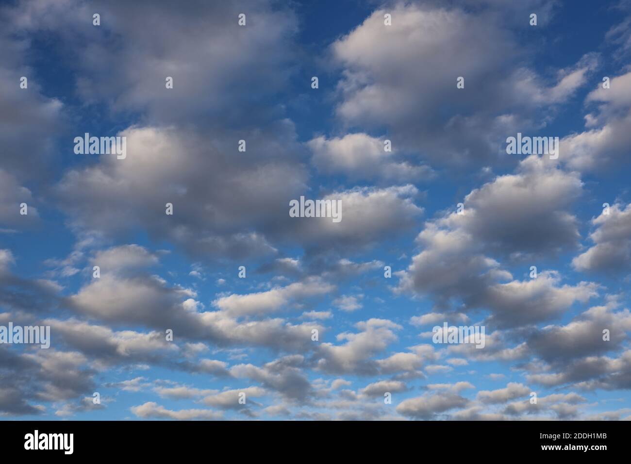 Un ciel nuageux de maquereau est parfois connu comme un ciel de babeurre. Jamais longtemps humide, jamais longtemps sec. Banque D'Images