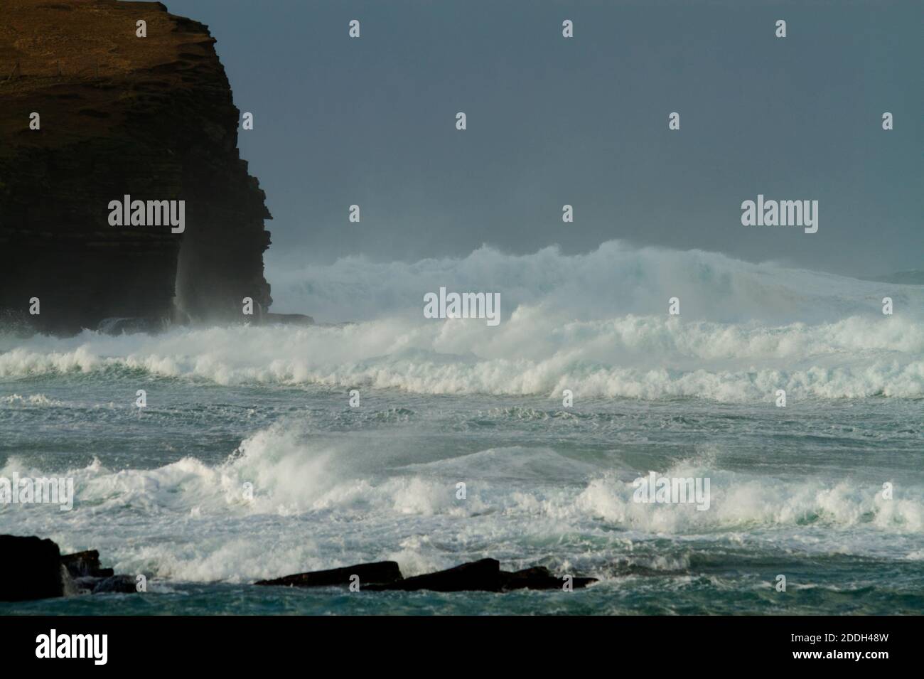 Mer de tempête avec jet de mer, Orkney Isles Banque D'Images