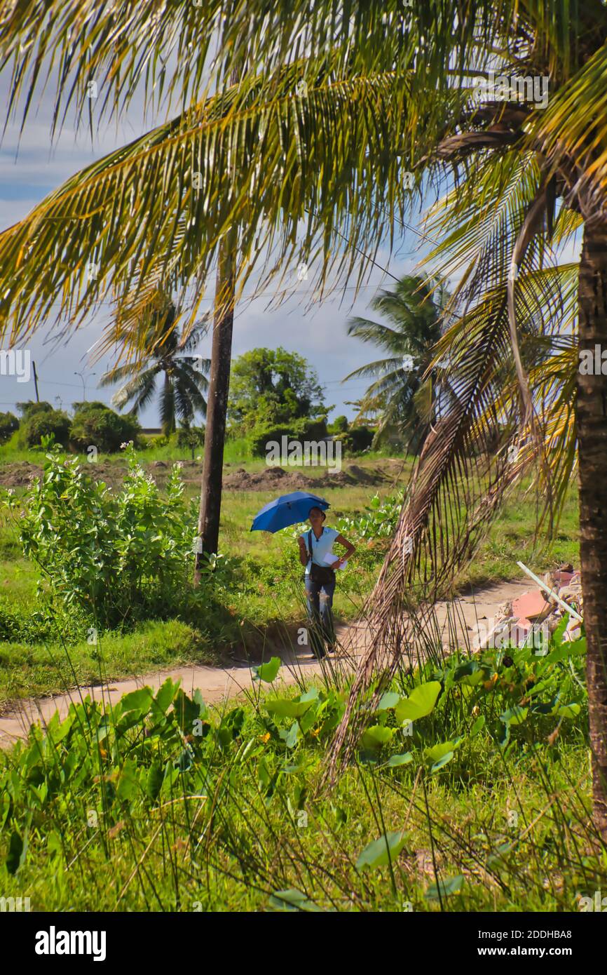 Une fille locale marchant avec un brome pour un parasol dans la campagne tropicale juste à l'extérieur de Georgetown, Guyana, Amérique du Sud Banque D'Images