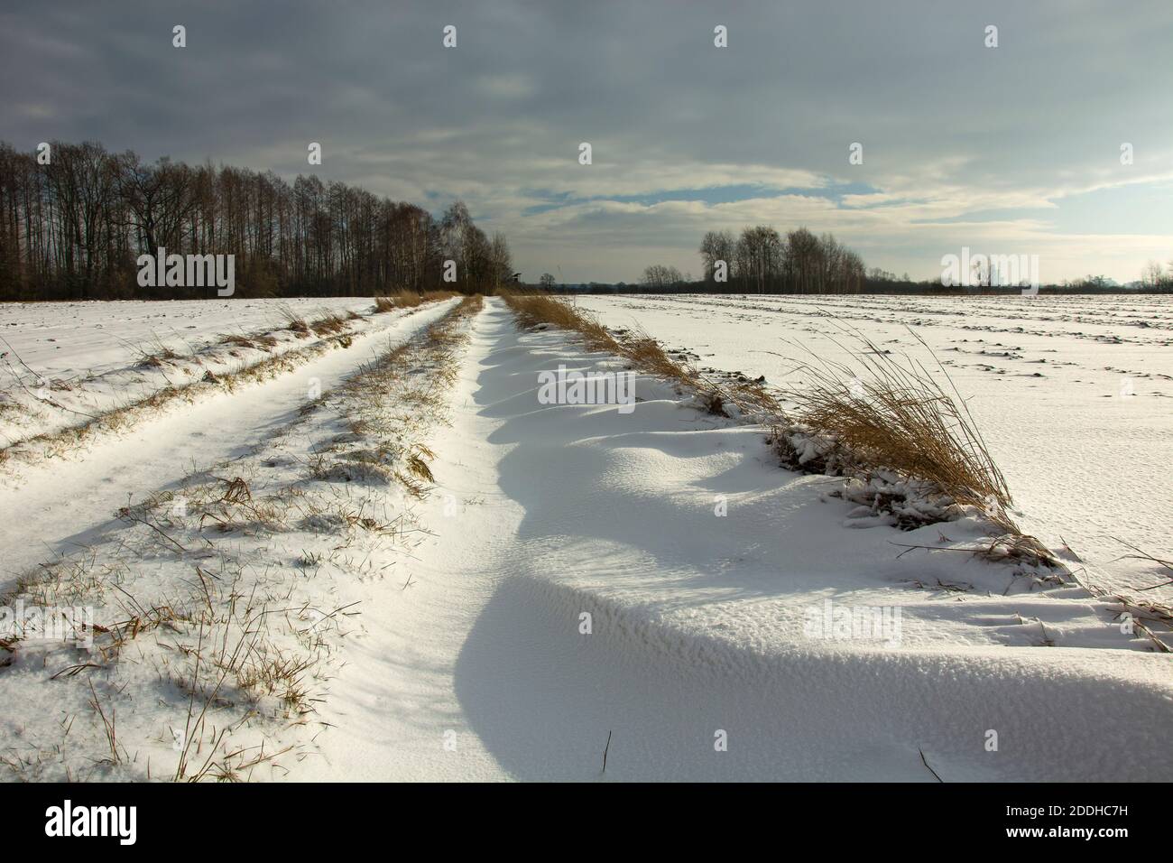 Une route de terre et des dérives de neige, une forêt à l'horizon et un ciel nuageux, hiver ensoleillé jour Banque D'Images